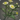 Chamomile Icon.png