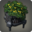 Axilflower Icon.png