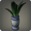 Maguey Icon.png